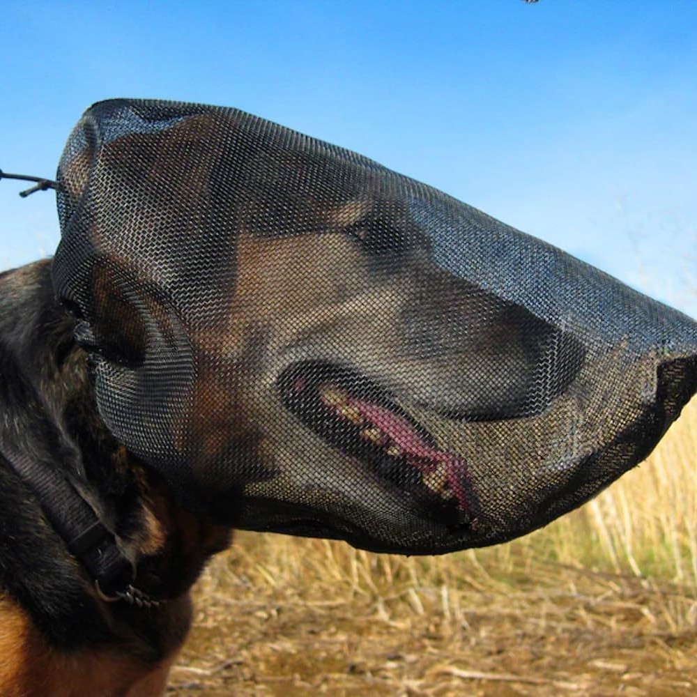 Outdoor Adventure Walks - Mesh-Hundemaske, verstellbar, insektenbissfest, für Outdoor-Abenteuer, Wandern,