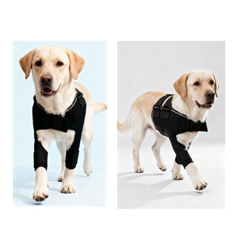 Outdoor Adventure Walks - Bequeme Schulterstütze für Hunde, Gelenkhilfe für