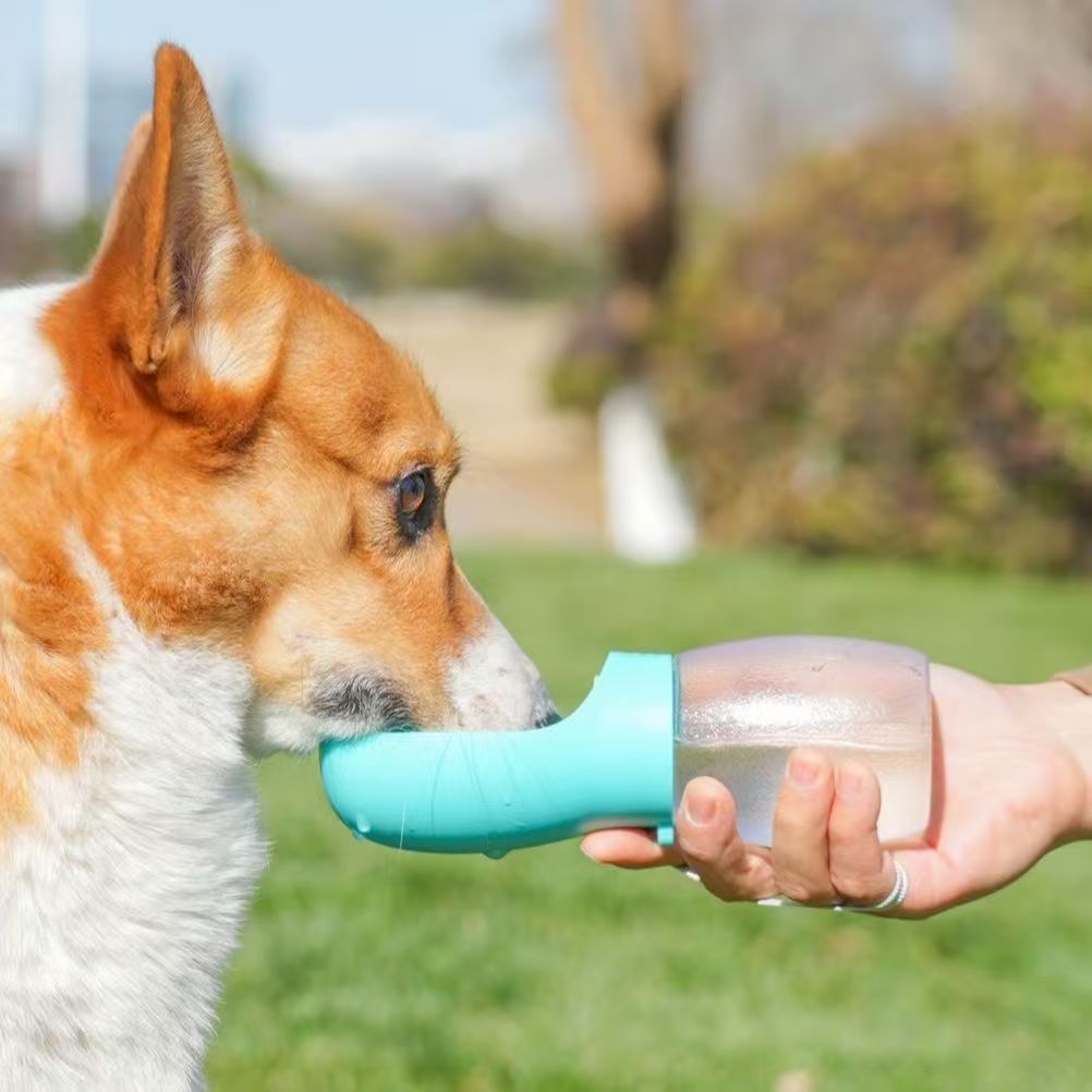 Tragbare Trinkflasche für Hund – Outdoor Adventure Walks Bewertung und Preis