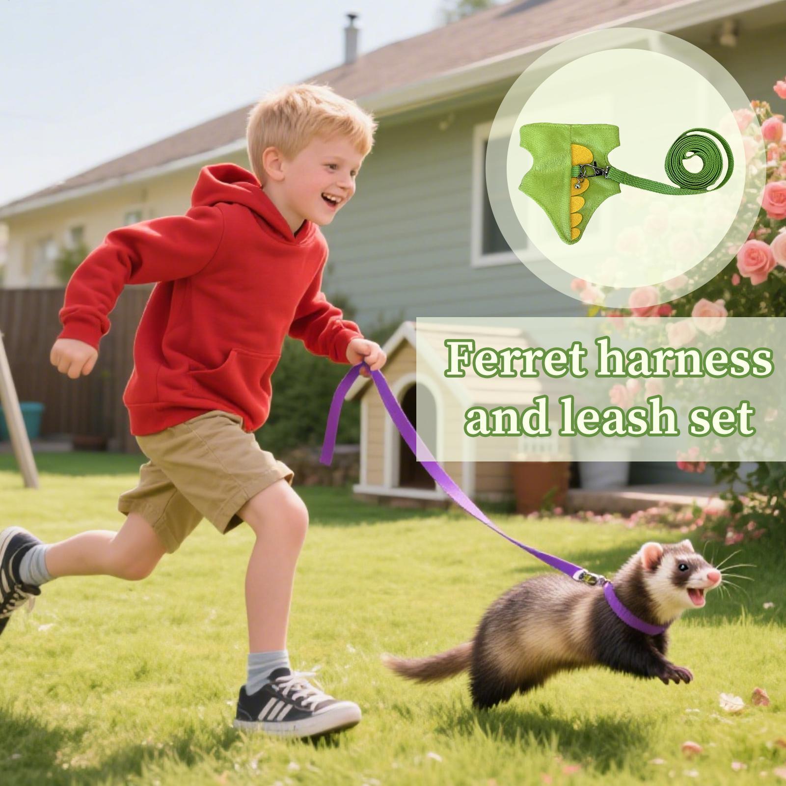 Verstellbares Geschirr- und Le – Outdoor Adventure Walks Bewertung und Preis