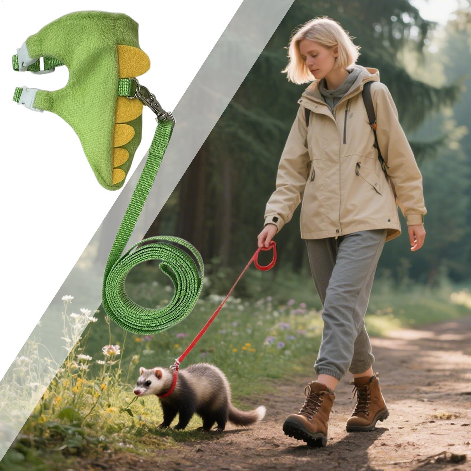Verstellbares Geschirr- und Le – Outdoor Adventure Walks Bewertung und Preis