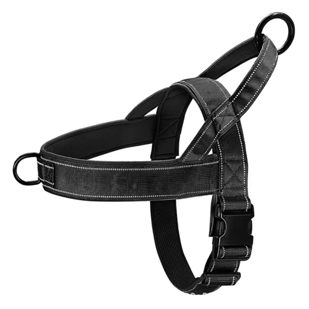 Schnellverschluss-Gurt ohne Zu – Outdoor Adventure Walks Bewertung und Preis