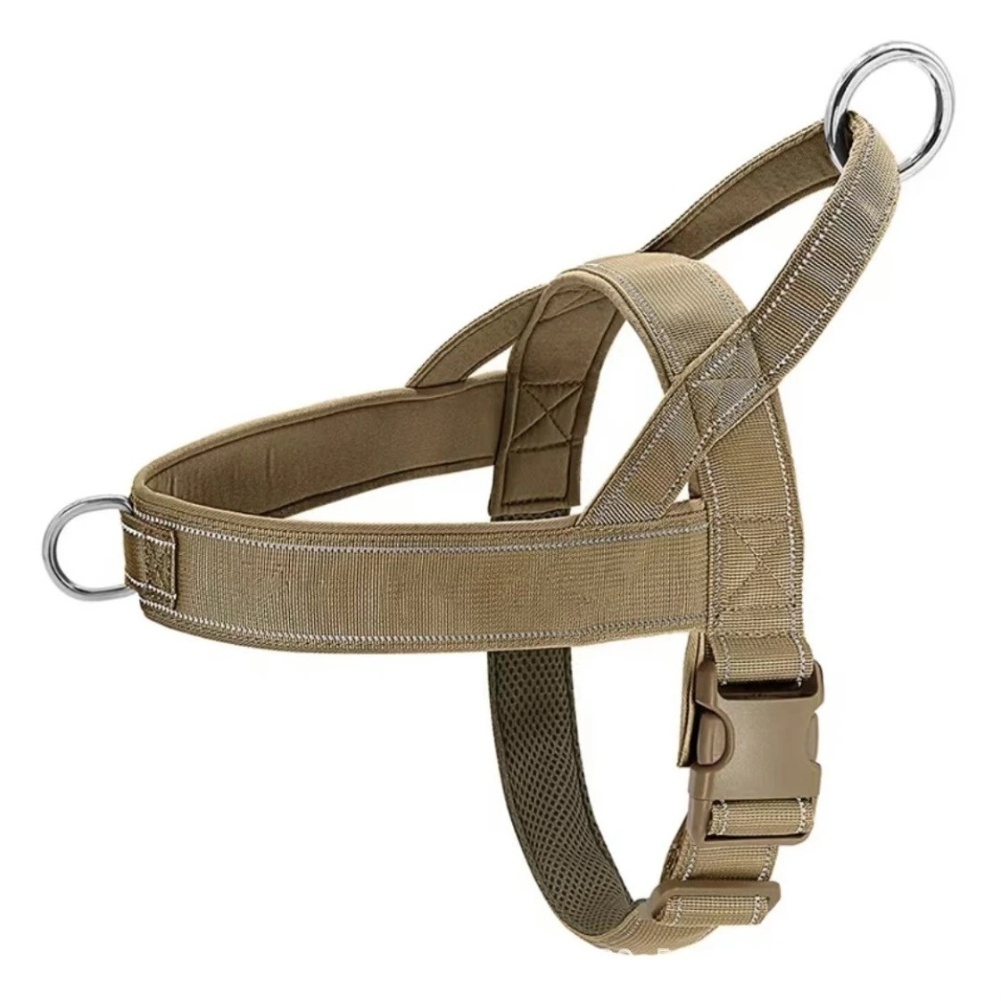 Schnellverschluss-Gurt ohne Zu – Outdoor Adventure Walks Bewertung und Preis