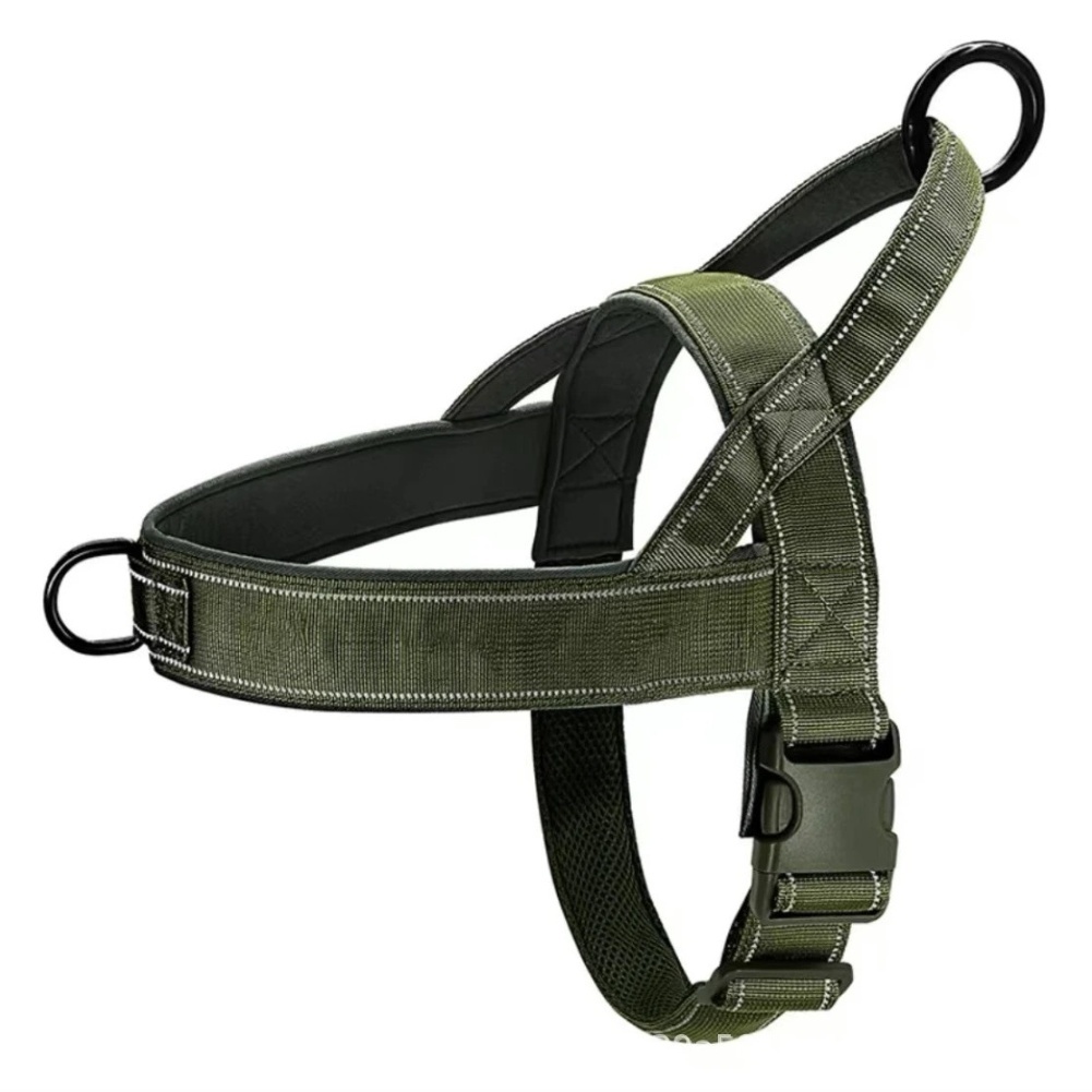 Schnellverschluss-Gurt ohne Zu – Outdoor Adventure Walks Bewertung und Preis