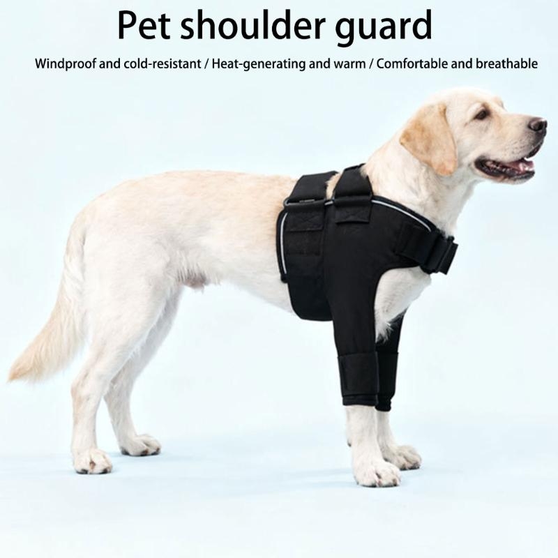 Bequeme Schulterstütze für Hun – Outdoor Adventure Walks Bewertung und Preis